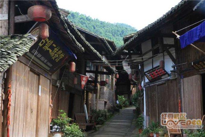 探索知识星球平台,了解生蚝如何处理干净的丰富内容